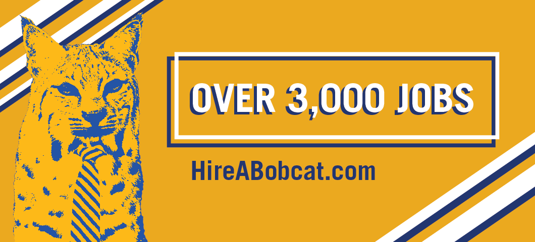 Hire a bobcat over 3000 jobs