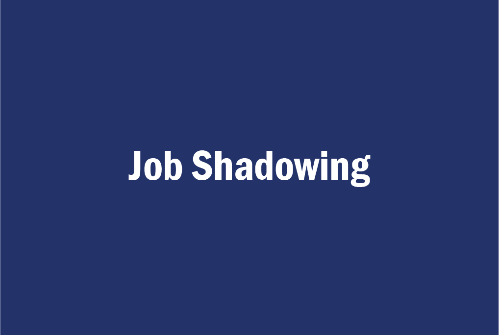 job shadowing