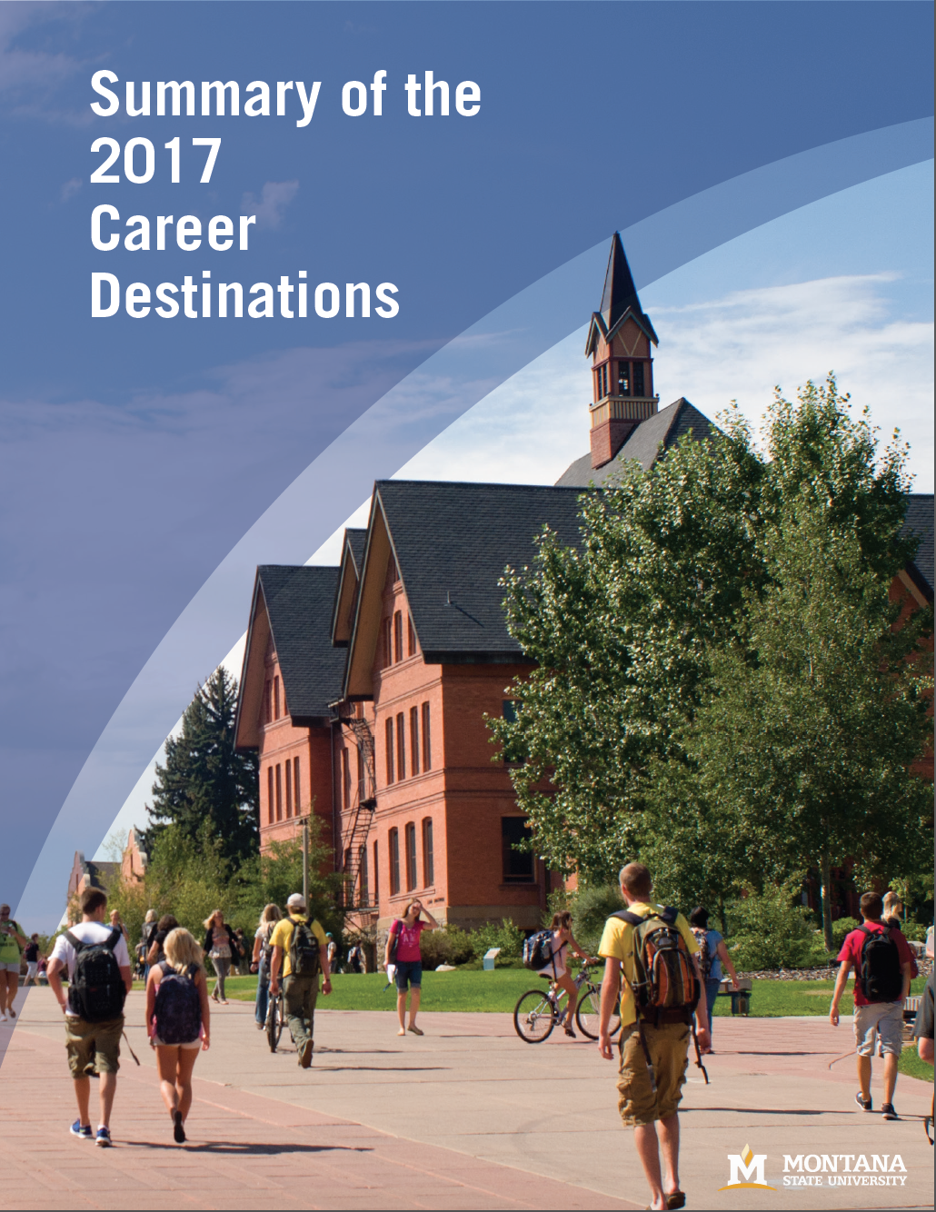 2017 Career Destinations Survey Cover