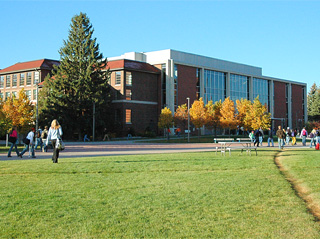 Picture of the Library