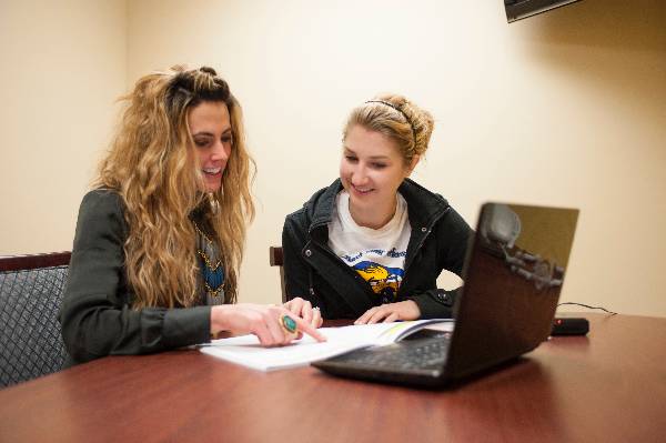 A picture of a success adviser and a student successfully planning.