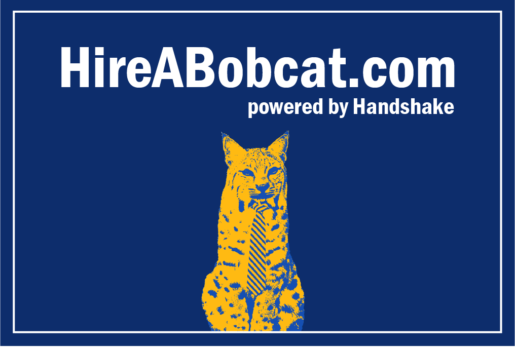 hire a bobcat