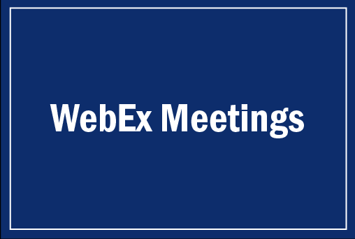 WebEx Meeting