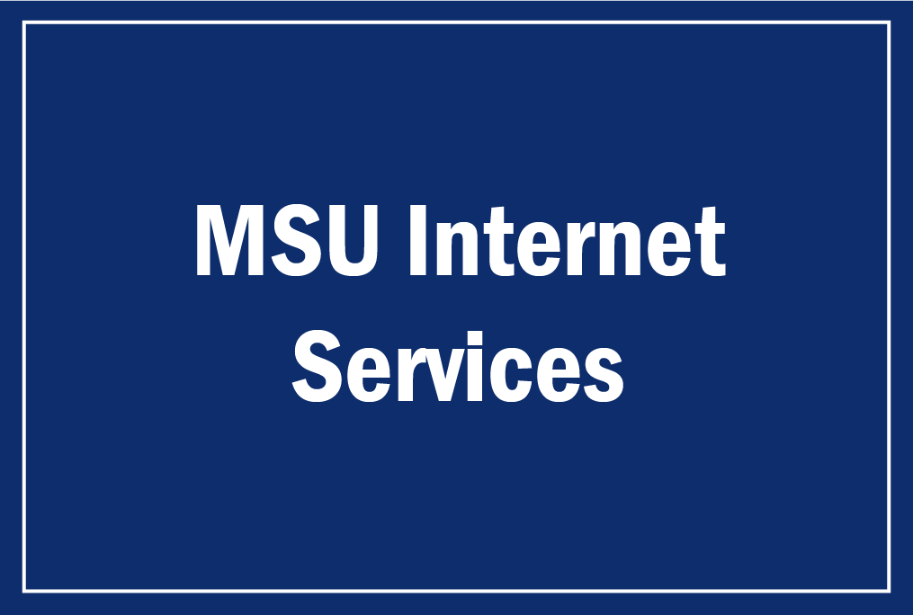 msu internet services
