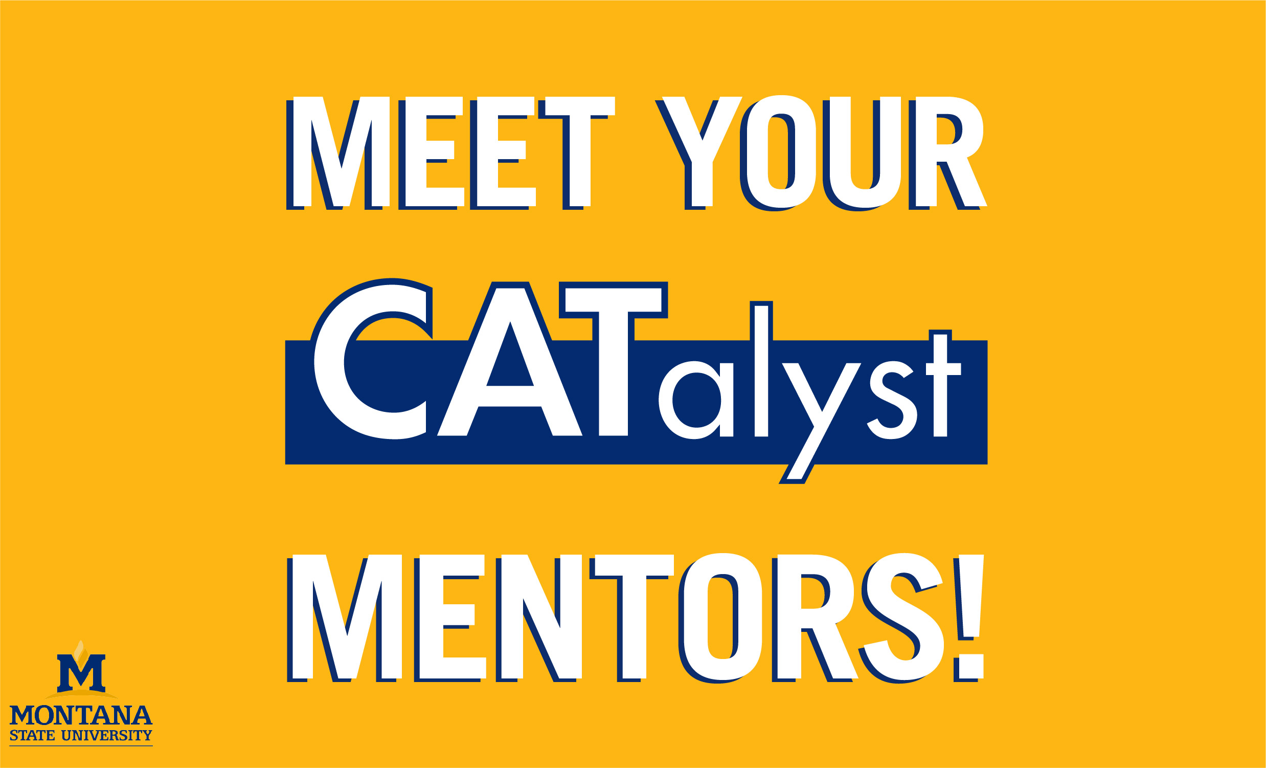 Meet your catalyst mentors