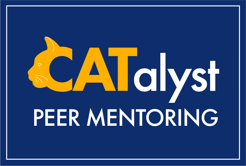 Catalyst Peer Mentoring
