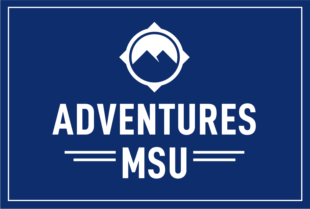 adventures MSU