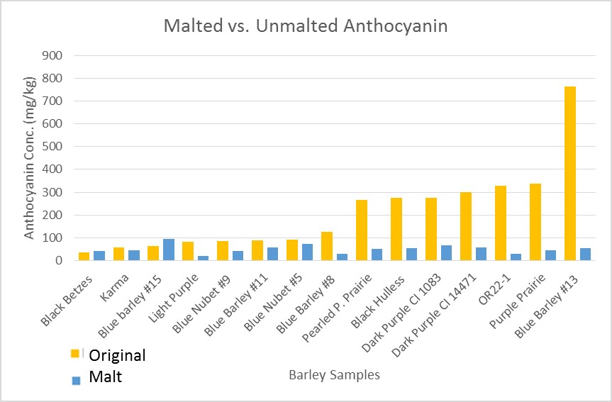 Graphical representation of anthocyanin levels in malted and unmalted barley lines