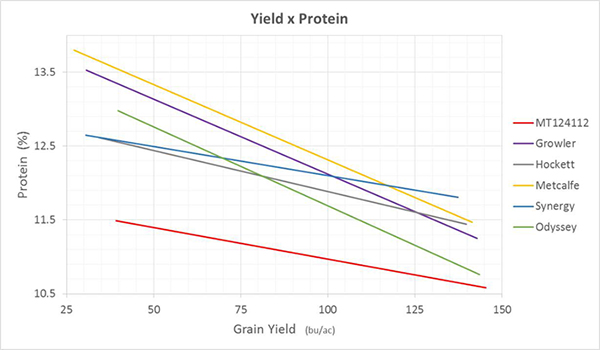 Data from all 2015-2018 Montana trials shows the consistency of MT124112’s low protein levels across a broad range of conditions (38 location years).