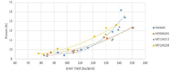 Data from a 6 location/year fertilizer management experiment with variable rates of nitrogen. The protein level of MT124112 increases more slowly with concurrent yield increases along the X axis. Note that the grain protein level for MT124112 grown at the highest yield potential was still acceptable, as were other malt quality parameters (not shown).  