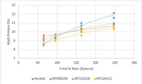 Low protein, malt protein response to nitrogen