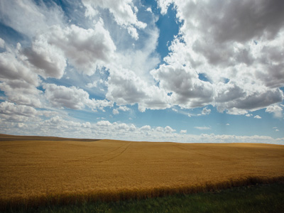 Montana Fertilizer Advisory Committee