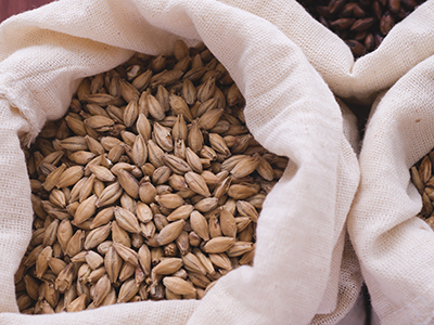 malt in burlap bags