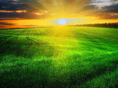 Farm field at sunset