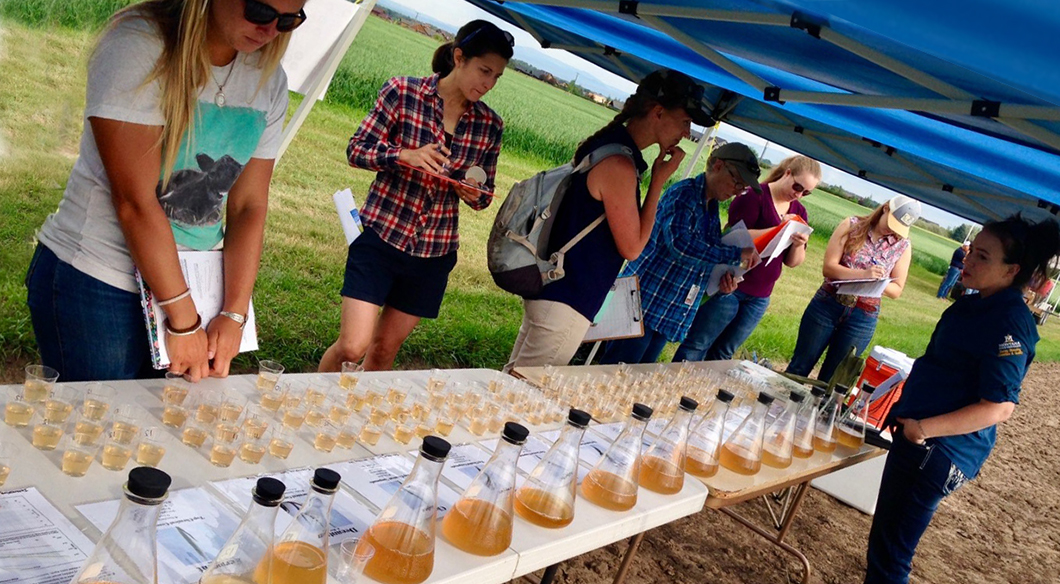 heirloom flavor field day presentation