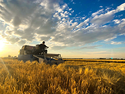 plot combine at sunset