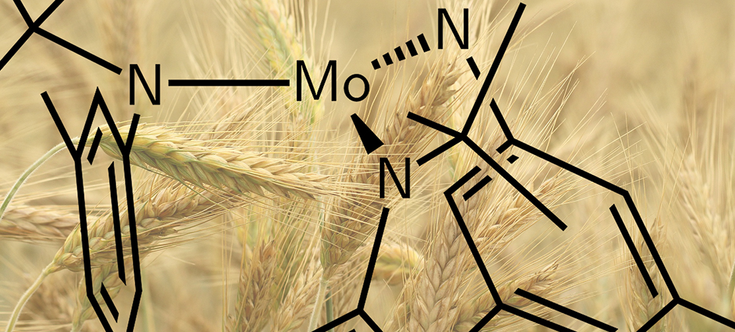 Molecular graphic with barley in the field