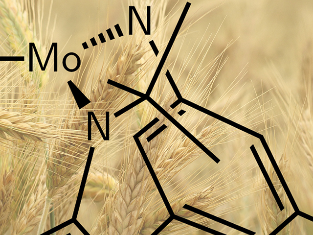 melecular graphic with barley