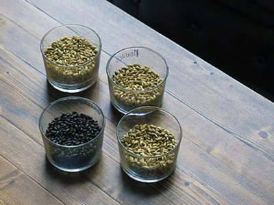 malt samples