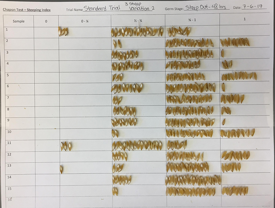 Hydration index - seeds scored for level of endosperm hydration.