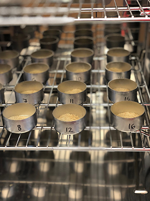 Malt samples drying