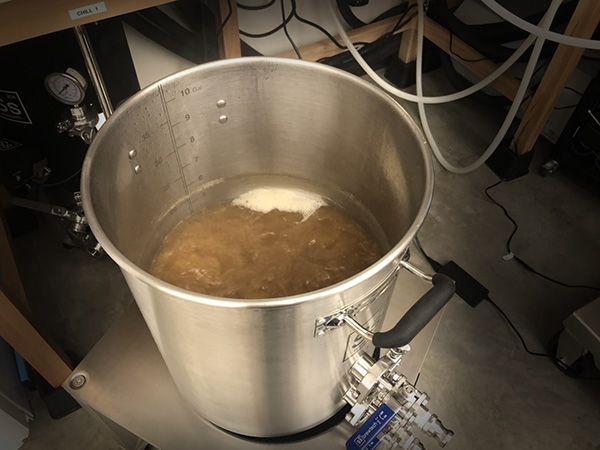 https://www.montana.edu/barleybreeding/images-and-videos/images/malt-quality-lab/brewing/Boil%20Kettle.jpg