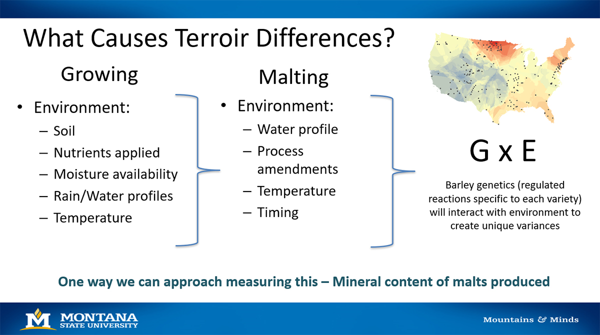 diagram explaining malt terroir