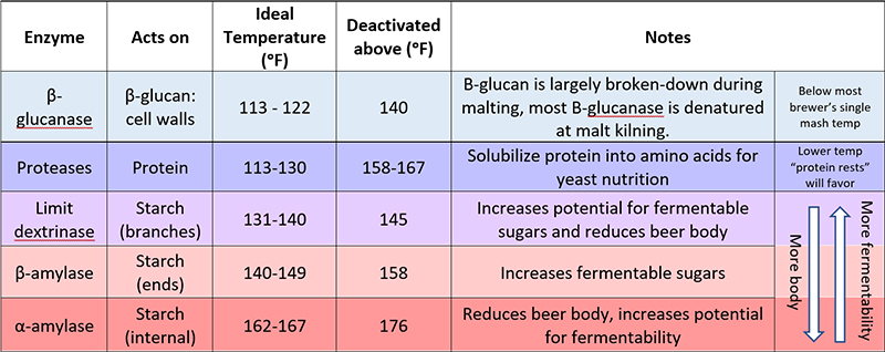 Table describing enzyme characteristics at different mash temps