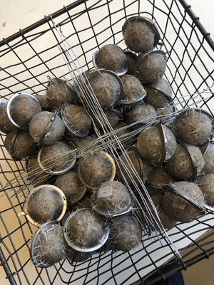 Malt balls