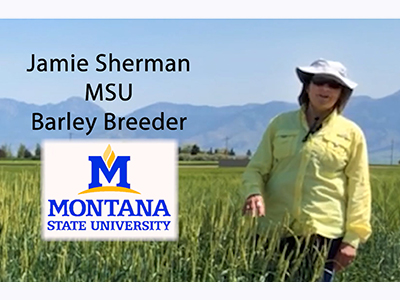 Jamie Sherman discuses new barley varieties