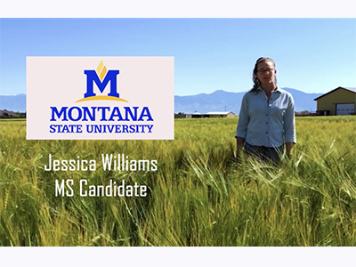 2020 VFD - Jessica Williams