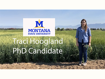 Traci Hoogland - Forage Breeding