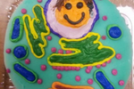 Mammalian cell cookie with "Luke-leus"