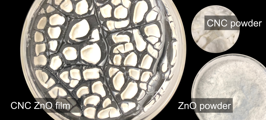 CNC ZnO film, CNC powder, and ZnO powder