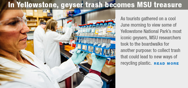 In Yellowstone, geyer trash becomes MSU treasure