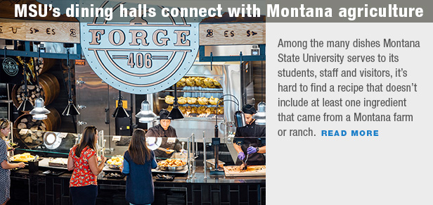 MSU's dining halls connect with Montana agriculture
