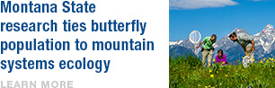 Montana State research ties butterfly population to mountain systems ecology