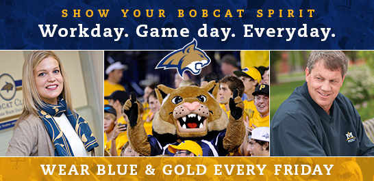 Bobcat Spirit Banner