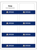 Nametags