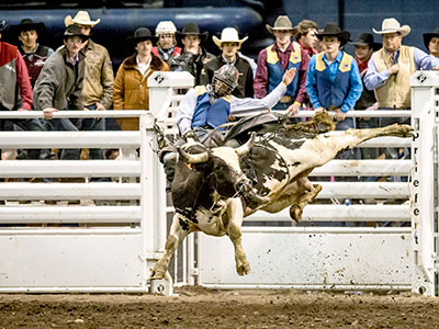 MSU Spring Rodeo