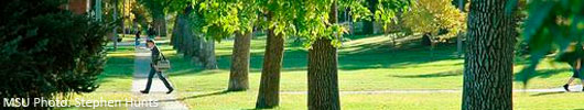 student_trees