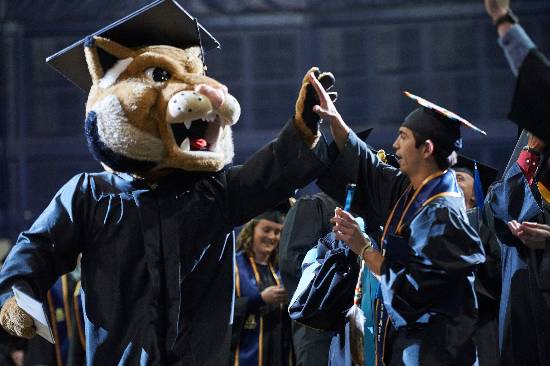 Student giving Champ the Bobcat a high five at Commencement