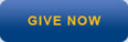 Give now button