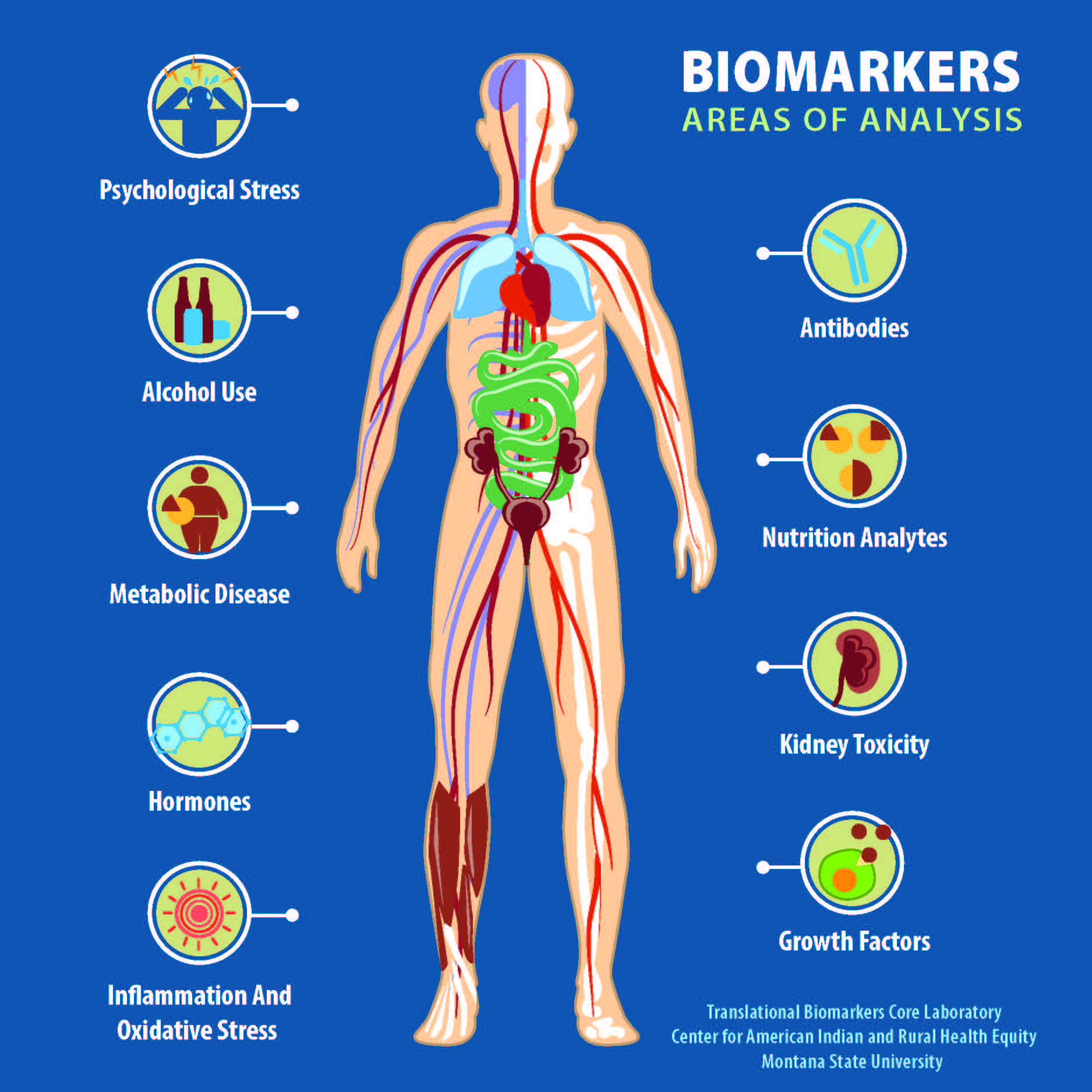 biomarkers diagram