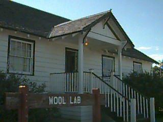  Wool Lab