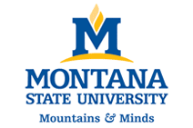 Montana State University Mountains & Minds logo