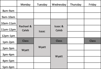 203 schedule