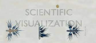 Scientific visualization