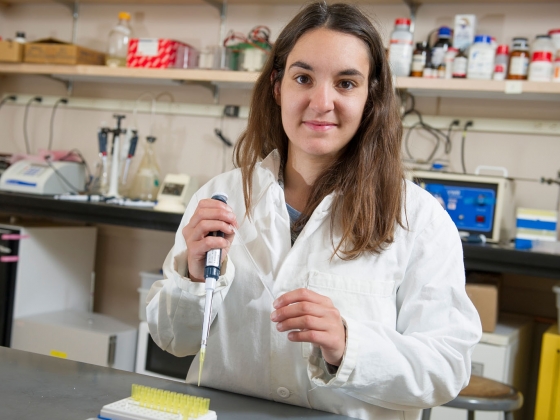 nsf graduate dissertation fellowships nsf graduate dissertation fellowships