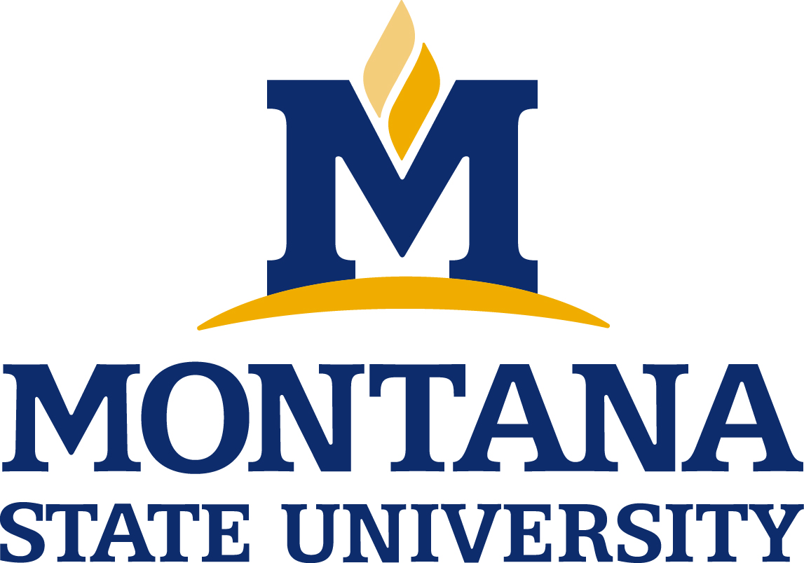 Montana State University Logo Download Page Creative Services Montana State University